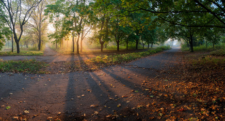 Similar image 1618671