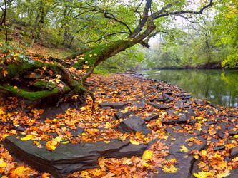 Similar image 1618672