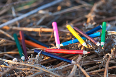 Similar image 1618676