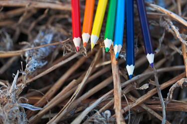 Similar image 1618680