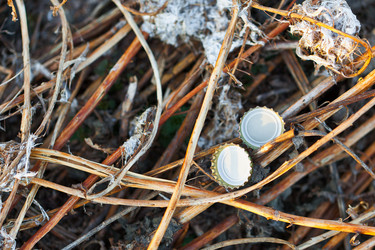 Similar image 1618681