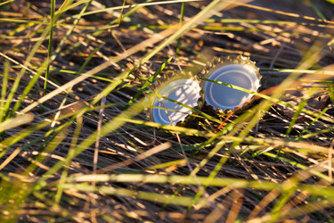 Similar image 1618682