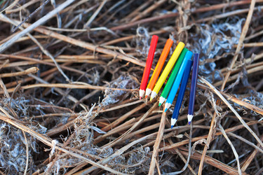 Similar image 1618684