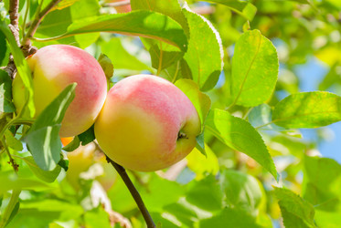 Similar image 1618712