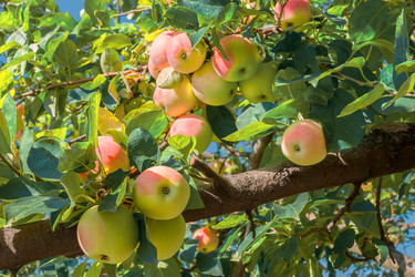 Similar image 1618713