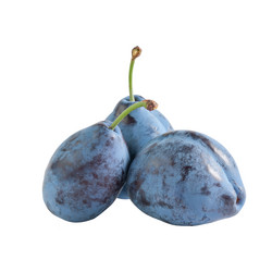 Similar image 1618714