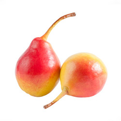 Similar image 1618721