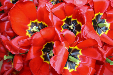 Similar image 1618723