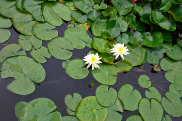 Similar image 1618724