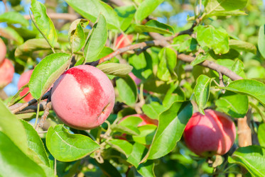 Similar image 1618728