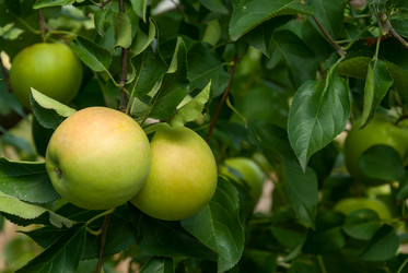 Similar image 1618729