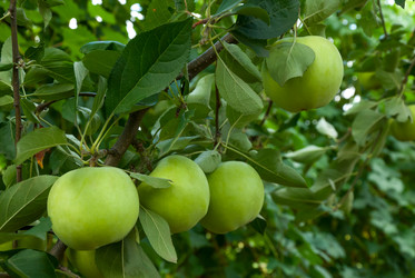 Similar image 1618730