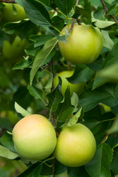 Similar image 1618731