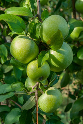 Similar image 1618734