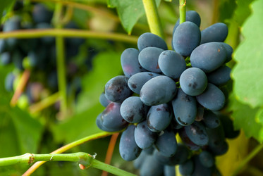 Similar image 1618735