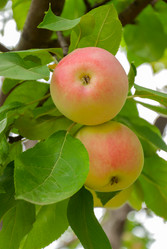 Similar image 1618737