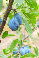 Similar image 1618738