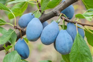 Similar image 1618740