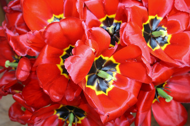 Similar image 1618741