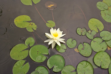 Similar image 1618744