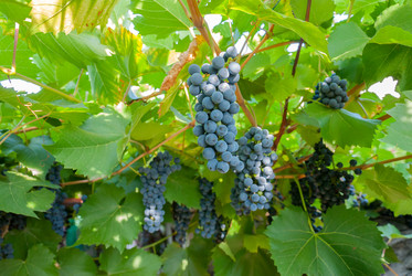 Similar image 1618755