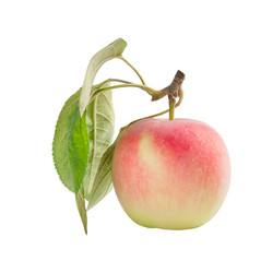 Similar image 1618756