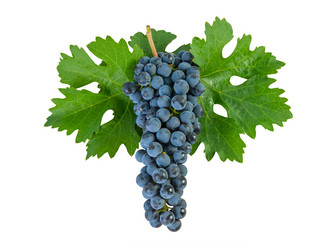 Similar image 1618758