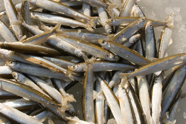 Similar image 1618763