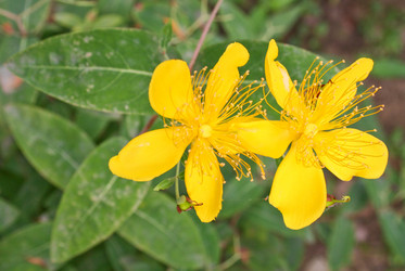 Similar image 1618778