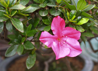 Similar image 1618779