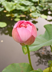 Similar image 1618781