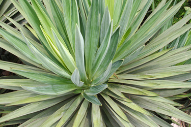 Similar image 1618782