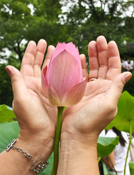 Similar image 1618788