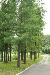 Similar image 1618790