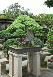 Similar image 1618799