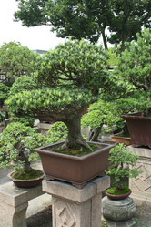 Similar image 1618800