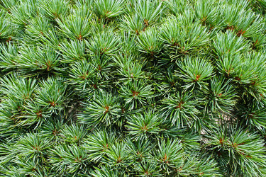 Similar image 1618804