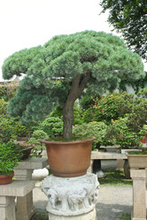 Similar image 1618805