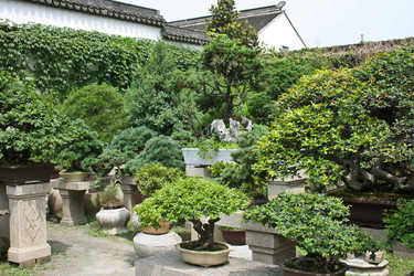 Similar image 1618806