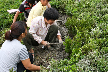 Similar image 1618809