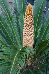 Similar image 1618810