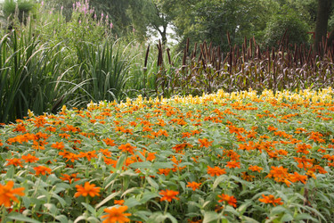 Similar image 1618825