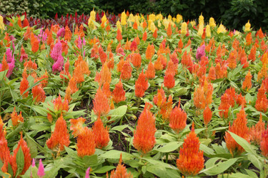 Similar image 1618826