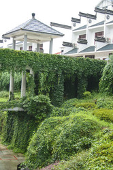 Similar image 1618827