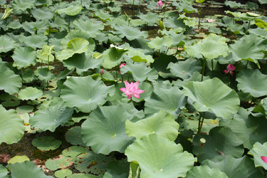 Similar image 1618828