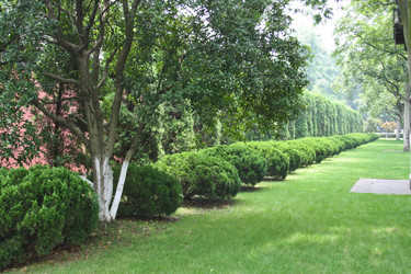 Similar image 1618829