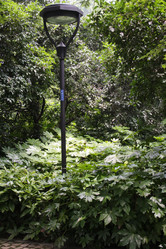 Similar image 1618830