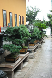 Similar image 1618831