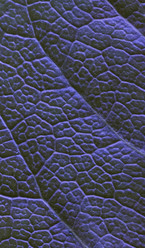 Similar image 1618847