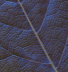 Similar image 1618849